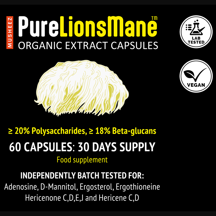 Close-up of MUSHEEZ PureLionsMane organic lion's mane extract capsules