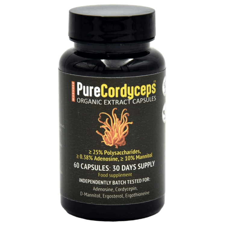 MUSHEEZ PureCordyceps organic extract capsules retail pot of 60 vegan capsules