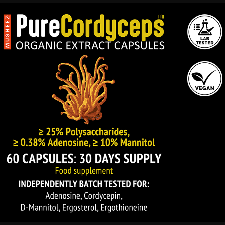 Close-up of MUSHEEZ PureCordyceps organic cordyceps CS-4 extract capsules
