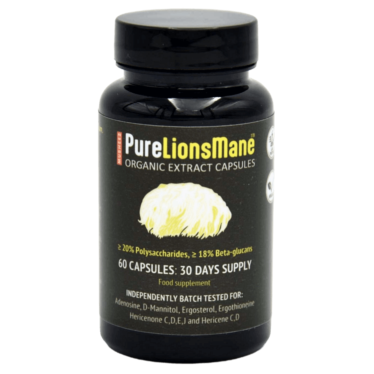 MUSHEEZ PureLionsMane organic extract capsules retail pot of 60 vegan capsules