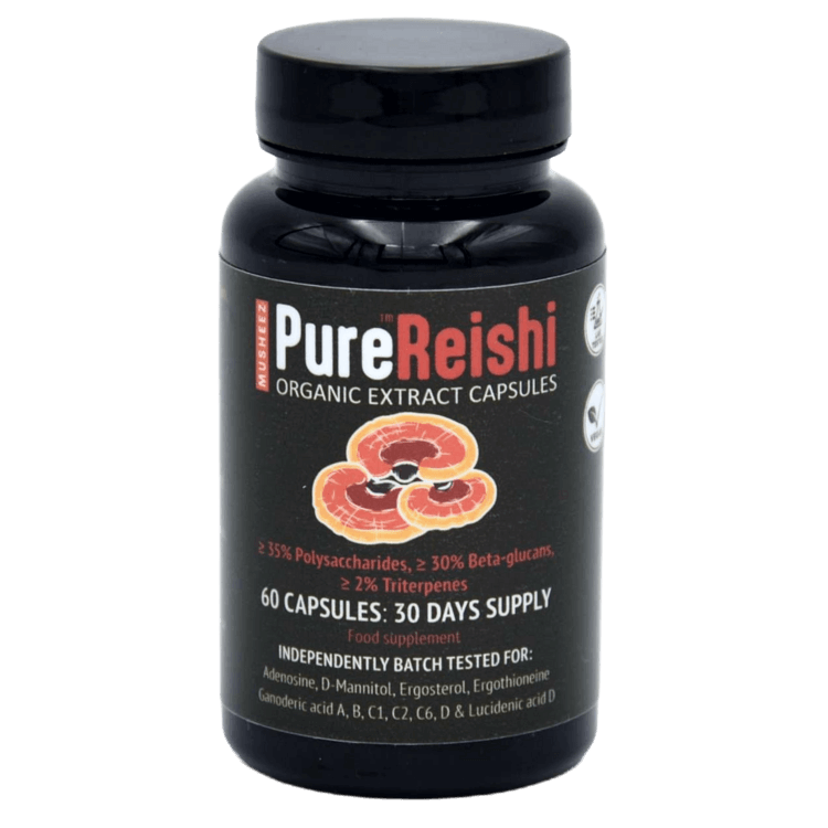 MUSHEEZ PureReishi organic extract capsules retail pot of 60 vegan capsules
