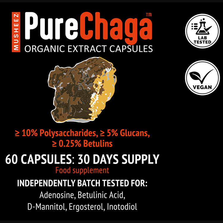 Close-up of MUSHEEZ PureChaga organic chaga extract capsules