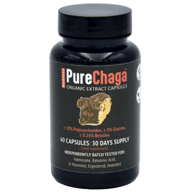 MUSHEEZ PureChaga organic extract capsules retail pot of 60 vegan capsules